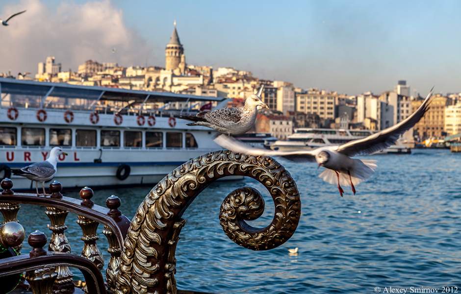 Travelme_turkey_istanbul_by_alexey_smirnov__19_