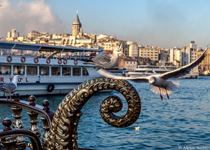 Thumb_travelme_turkey_istanbul_by_alexey_smirnov__19_
